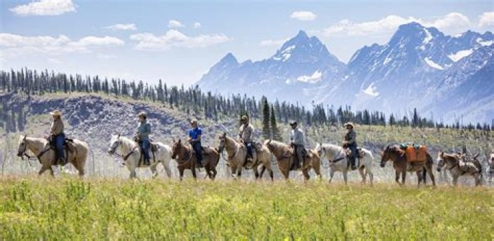 "Horse Trips Over Dog Kills Rider"