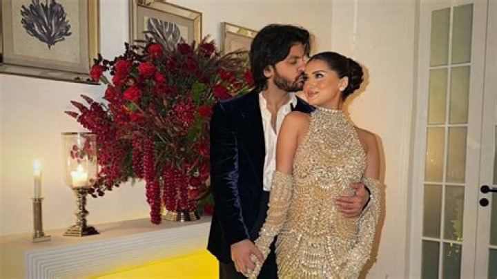 Tara Sutaria's Husband: Unraveling The Mystery