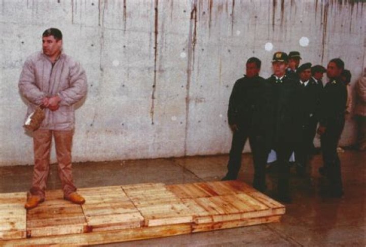 Unveiling The Enigmatic "El Chapo Height": Discoveries And Insights