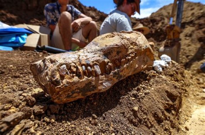 Unveiling The Hidden World Of "Milei Wife": Discoveries And Insights