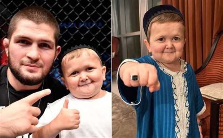 Unveiling The Role Of Hasbulla Magomedov's Parents: Unlocking Success And Inspiration