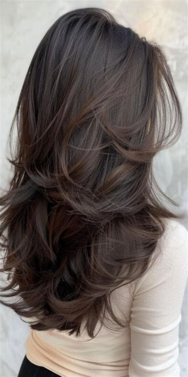 Unveiling The Secrets Of The 8020 Split Haircut: Volume, Style, And Versatility