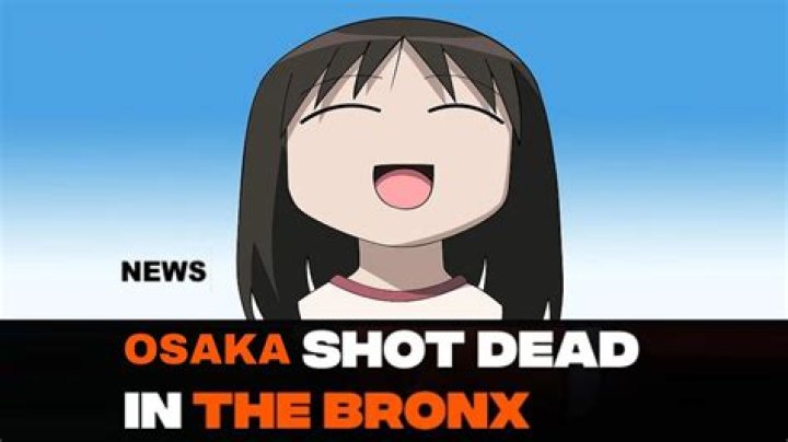Unveiling The Truth: Bob Shot Dead In The Bronx